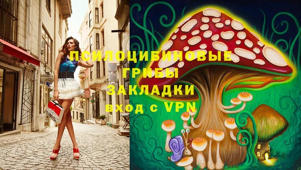 ешки Белоозёрский